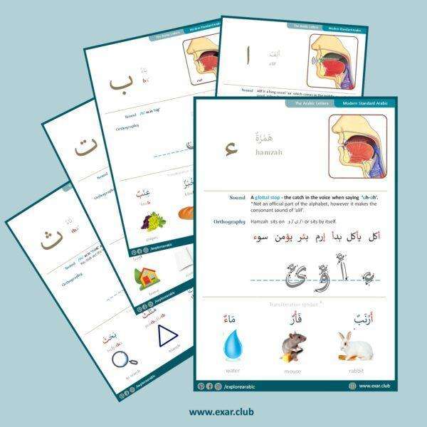 Arabic Letters - Classroom Posters