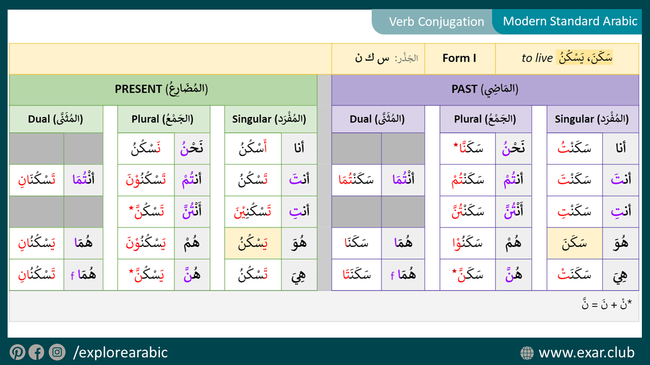 To Live سَكَنَ، يَسْكُنُ (Form I)