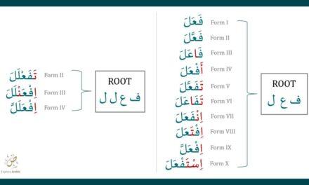 Arabic Verb Roots & forms