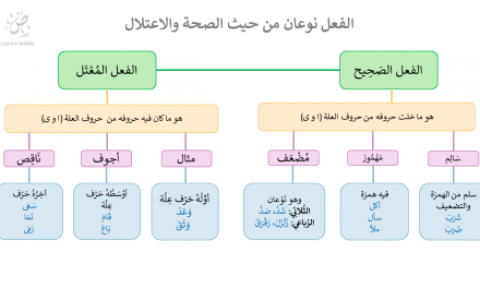 Strong (صحيح) and Weak (معتل) Verbs